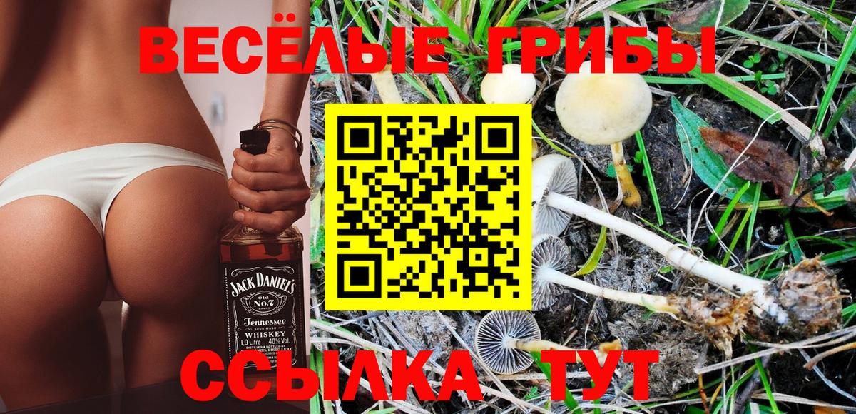 Галлюциногенные грибы мицелий  Псилоцибиновые грибы Cubensis  Костомукша  Вход с VPN 